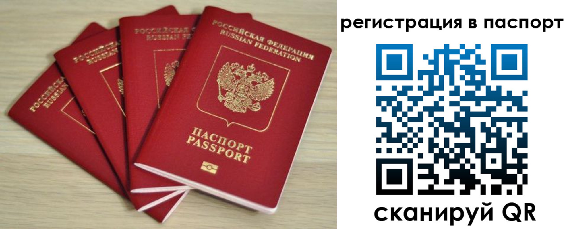 временная регистрация для школы в Сальске
